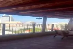 فیلم جدید از حمله مهم ایران به حیفا