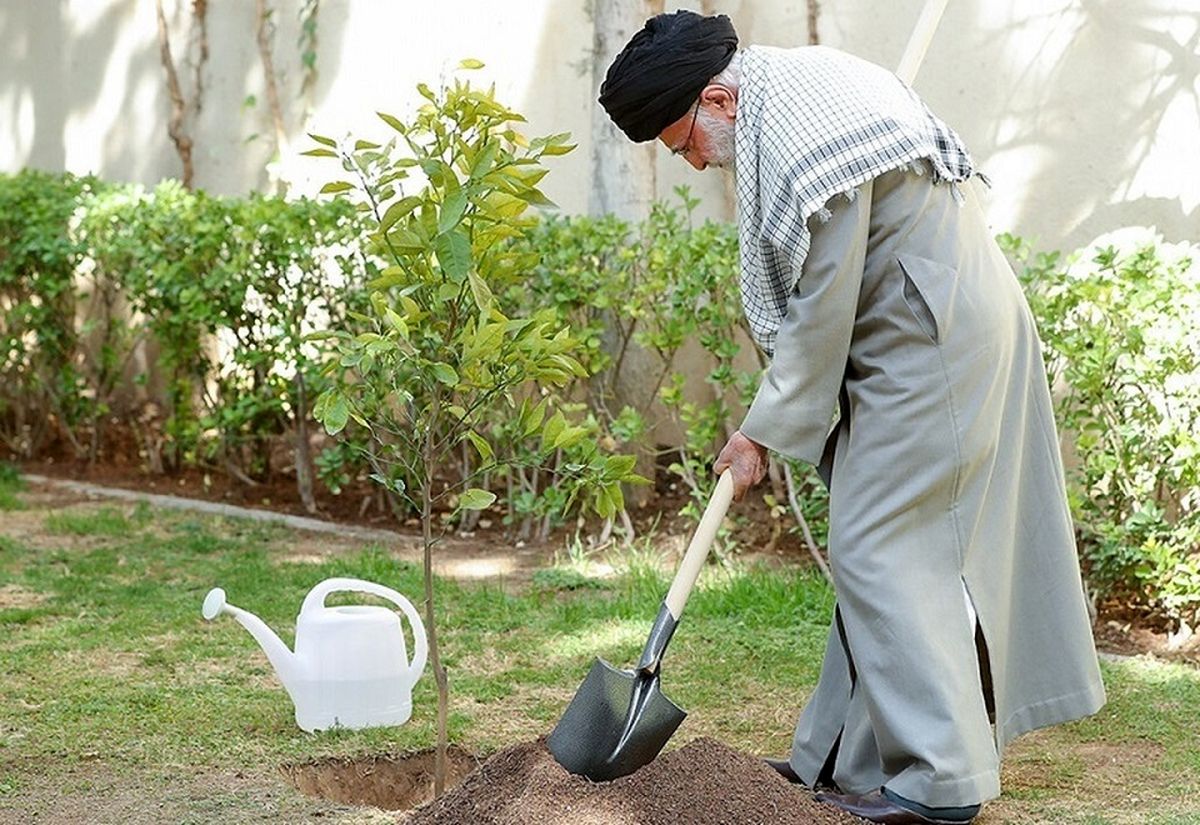 اقدام نمادین رهبر انقلاب در روز درختکاری برای ابراز سلام به ملت مقاوم فلسطین