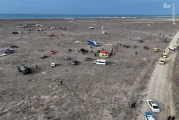 سقوط مرگبار «بالگرد» متعلق به یک ارگان رسمی