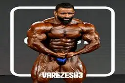 بررسی کامل مسابقه مستر المپیا 2024