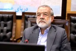 نقد دولت نباید به تخاصم منجر شود