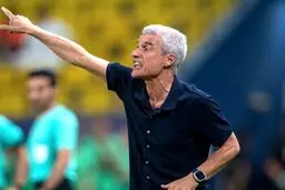 رسمی: لوئیس کاسترو از النصر اخراج شد