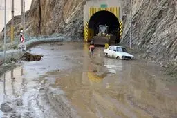 فیلمی هولناک از خودروهای له شده در جاده چالوس