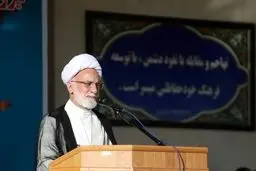 دری نجف‌آبادی : با هرج و مرج هیچ موفقیتی حاصل نمی‌شود