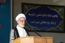 دری نجف‌آبادی : با هرج و مرج هیچ موفقیتی حاصل نمی‌شود