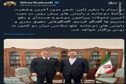 رایزنی هسته‌ای ایران و ژاپن