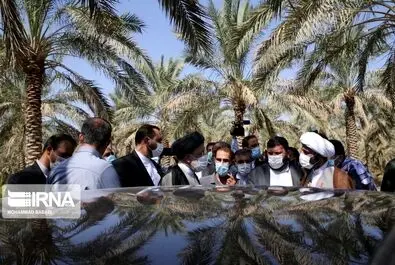 رئیسی تنگستان