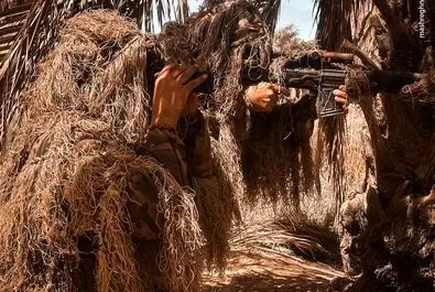 حشد الشعبی