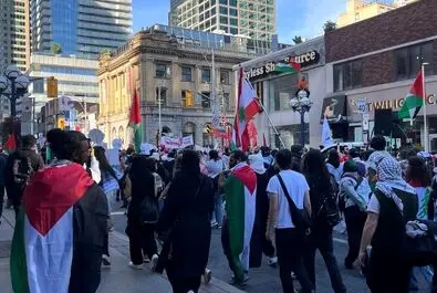 تورنتو فلسطین