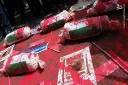 تصاویر راهپیمایی علیه جنایات غزه 