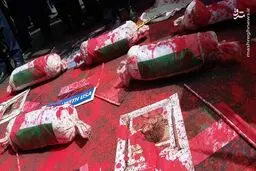 تصاویر راهپیمایی علیه جنایات غزه 