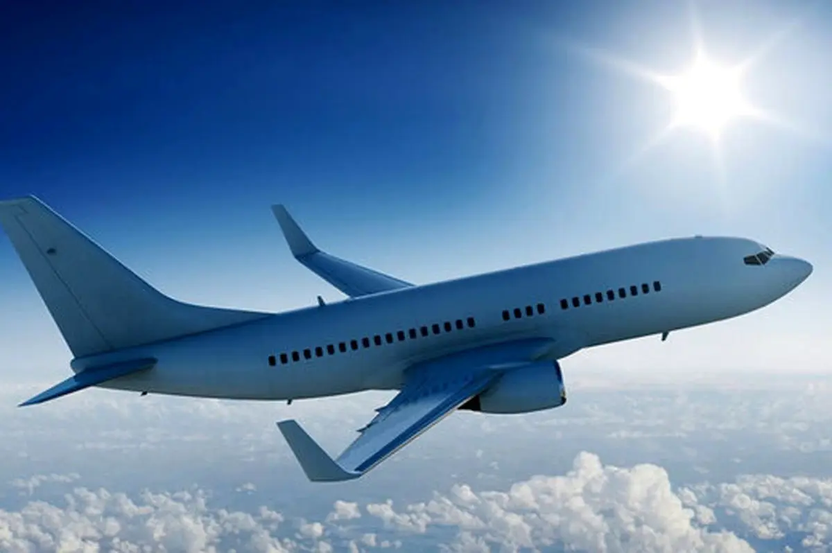  اولین فیلم از تلاش یک زن برای منفجر کردن یک هواپیما