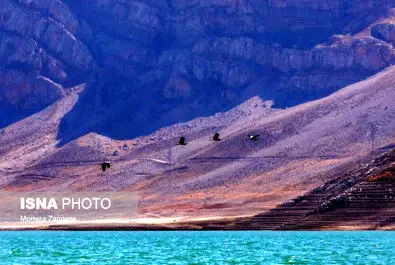 خشکسالی به دماوند رسید