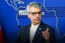 بقائی: انگلیس به جای  اتهام زنی به ایران، ترویج تروریسم را متوقف کند
