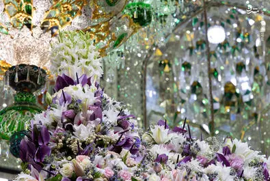امام رضا(ع)