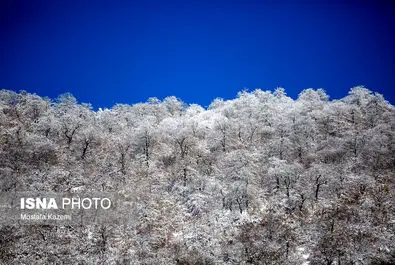 مازندران