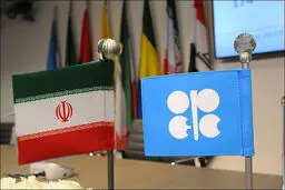 کلیات و جزئیات لایحه عضویت ایران در اپک تصویب شد