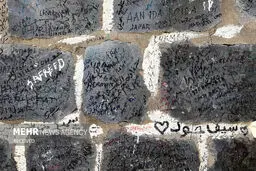 تصاویر زیارت دوره زائران در مدینه منوره