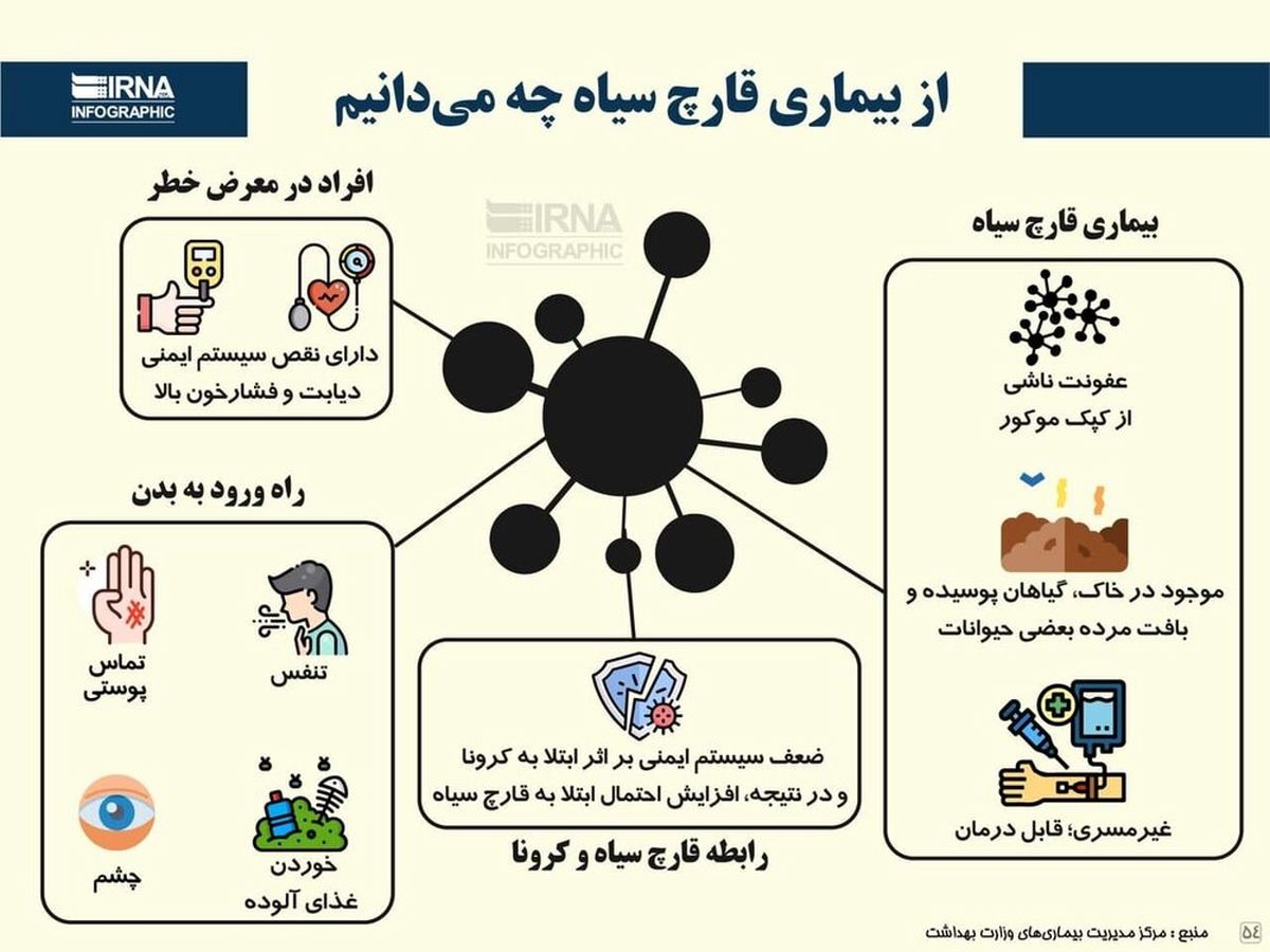 از بیماری قارچ سیاه بدانید