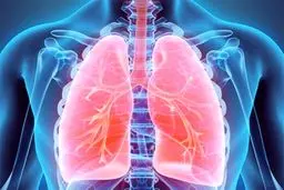 خوراکی های مفید برای تقویت ریه‌ها