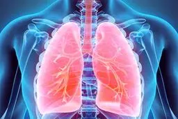 خوراکی های مفید برای تقویت ریه‌ها