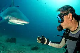 عملیات خطرناک خارج کردن قلاب از دهان کوسه درنده