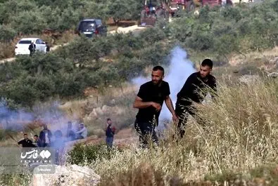 فلسطین