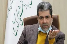 افشاگری معاون وزیر اسبق کار درباره رانت‌خواری نمایندگان