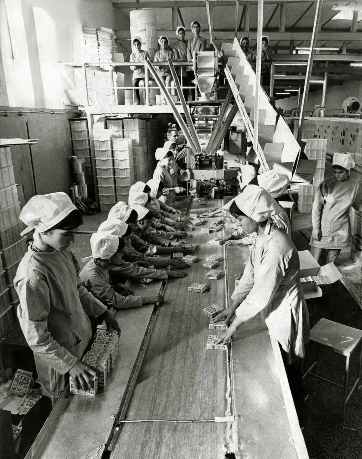 عکس زیرخاکی از بسته بندی بیسکویت باغ وحش و الفبا