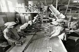 عکس زیرخاکی از بسته بندی بیسکویت باغ وحش و الفبا