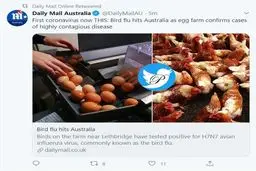 شیوع آنفلوآنزای مرغی در استرالیا + توئیتر