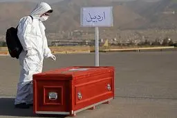 داخل هواپیمای حامل پیکر حجاج ایرانی (عکس)