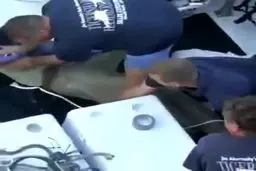 ببینید: لحظه‌ی جالب ‏باز کردن طناب از گردن کوسه