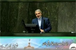 حاشیه های جلسه علنی مجلس/تصاویر