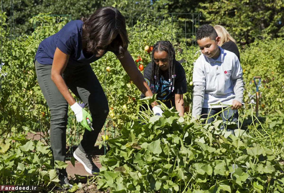 پیک نیک با همسر اوباما (+عکس)