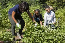 پیک نیک با همسر اوباما (+عکس)