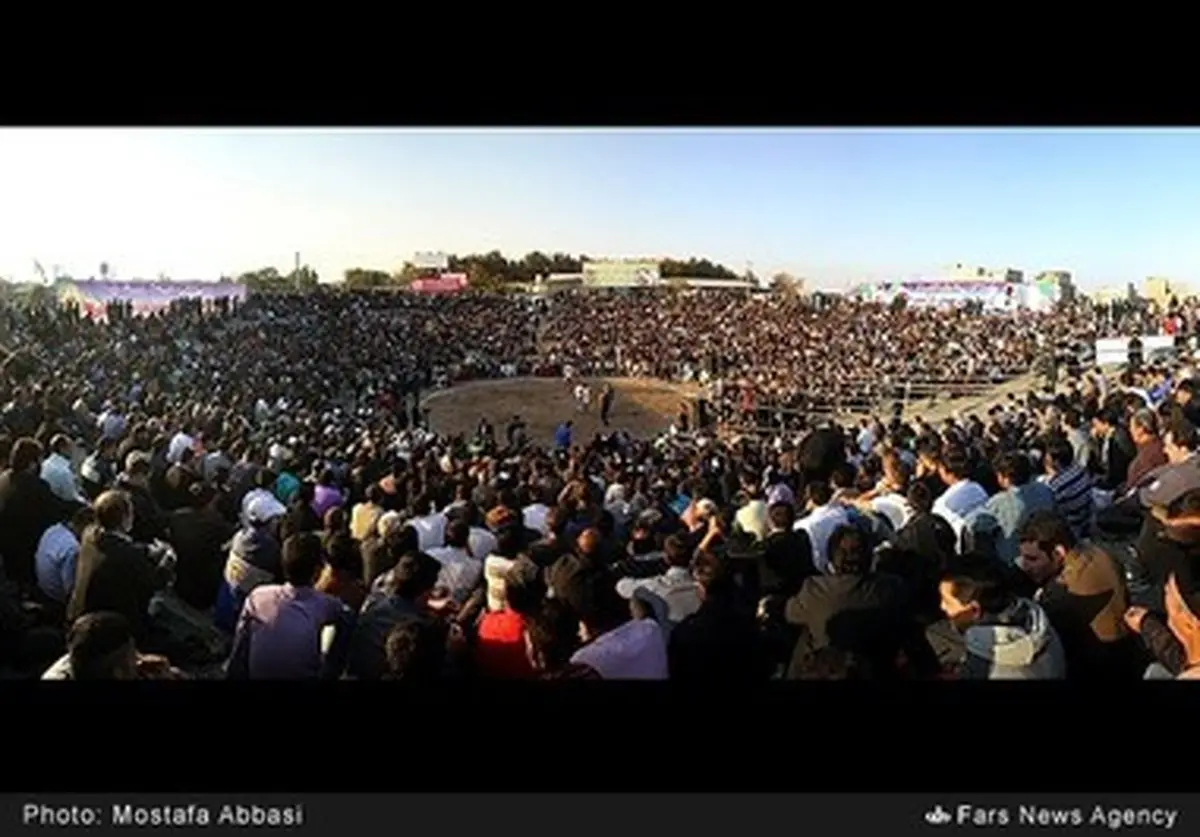 تصاویری از کشتی سنتی باچوخه