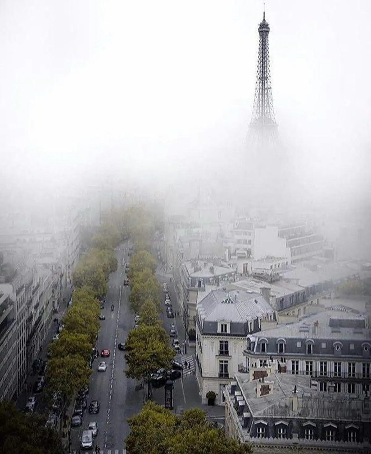 تصویری زیبا از برج ایفل در مه