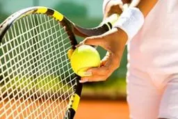 آغاز تغییرات در فدراسیون تنیس/ یک کشتی گیر نایب رییس شد!