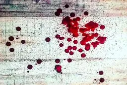 نقاشی خاصی که الناز شاکردوست آن را کشیده است! عکس