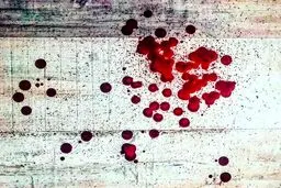 نقاشی خاصی که الناز شاکردوست آن را کشیده است! عکس