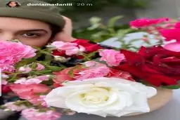 عکس گل گلی دنیا مدنی