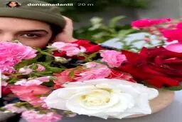 عکس گل گلی دنیا مدنی