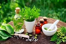 این گیاهان درمانی باعث آسیب کلیه می‌شوند
