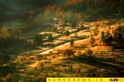 یادآوری افسانه های مشهور در سال 2015+تصاویر