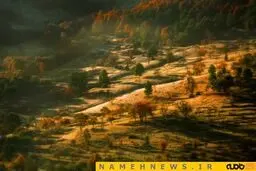 یادآوری افسانه های مشهور در سال 2015+تصاویر