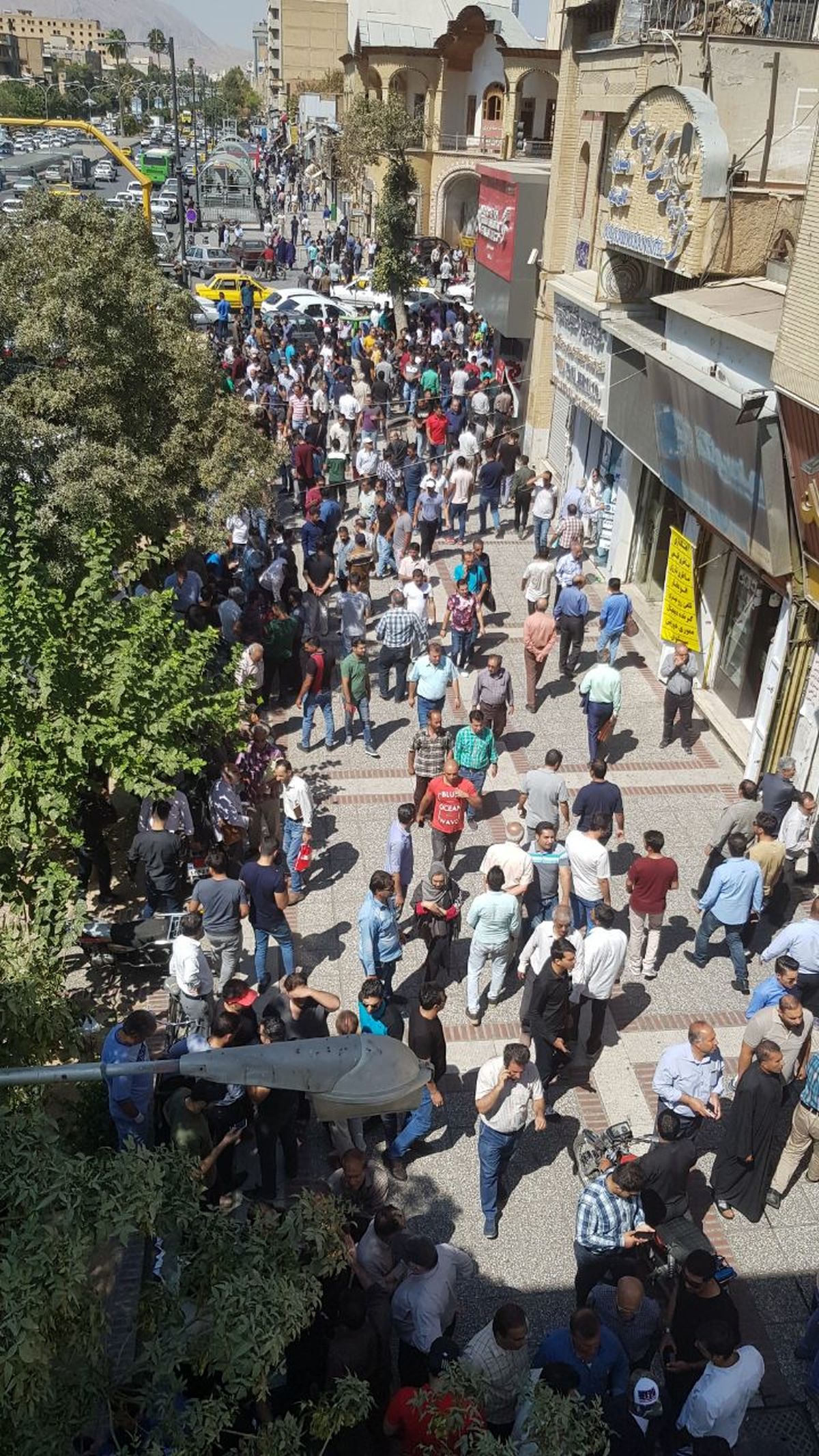 هماکنون بازار دلار در شیراز/ عکس