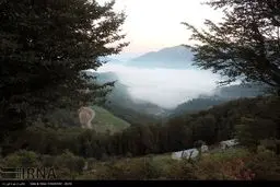 بهار در پاییز در جاده خلخال به پونل/تصاویر