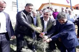 مشارکت علی دایی در کاشت درخت/ عکس