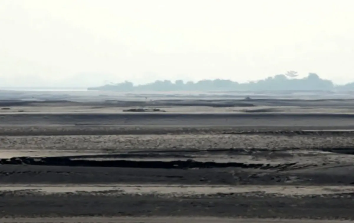 مردی که به تنهایی یک جنگل ساخته است!